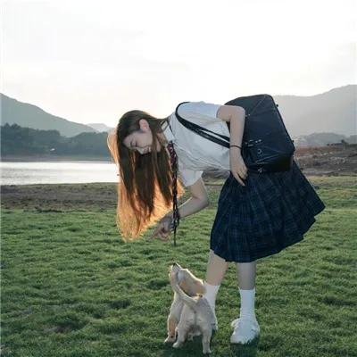 辛巴 海报
